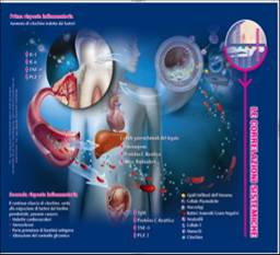 Carie e Cuore: le Periomedicine